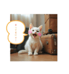 猫の色々な日常、沢山遊ぼ（個別スタンプ：2）