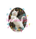猫の色々な日常、沢山遊ぼ（個別スタンプ：3）