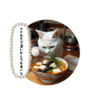 猫の色々な日常、沢山遊ぼ（個別スタンプ：5）