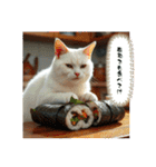 猫の色々な日常、沢山遊ぼ（個別スタンプ：6）
