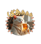 猫の色々な日常、沢山遊ぼ（個別スタンプ：11）