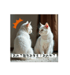 猫の色々な日常、沢山遊ぼ（個別スタンプ：14）