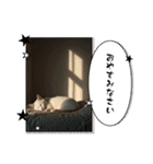 猫の色々な日常、沢山遊ぼ（個別スタンプ：18）