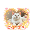 猫の色々な日常、沢山遊ぼ（個別スタンプ：20）