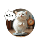 猫の色々な日常、沢山遊ぼ（個別スタンプ：22）