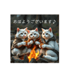 猫の色々な日常、沢山遊ぼ（個別スタンプ：23）
