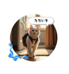 猫の色々な日常、沢山遊ぼ（個別スタンプ：32）
