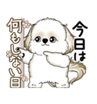 シーズー犬 2025 「やるかやらないか」（個別スタンプ：3）