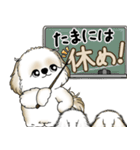 シーズー犬 2025 「やるかやらないか」（個別スタンプ：4）