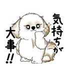 シーズー犬 2025 「やるかやらないか」（個別スタンプ：5）
