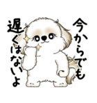 シーズー犬 2025 「やるかやらないか」（個別スタンプ：6）