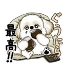 シーズー犬 2025 「やるかやらないか」（個別スタンプ：8）