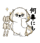 シーズー犬 2025 「やるかやらないか」（個別スタンプ：9）