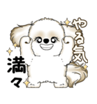 シーズー犬 2025 「やるかやらないか」（個別スタンプ：13）