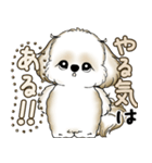 シーズー犬 2025 「やるかやらないか」（個別スタンプ：14）