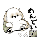 シーズー犬 2025 「やるかやらないか」（個別スタンプ：16）