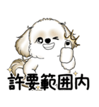 シーズー犬 2025 「やるかやらないか」（個別スタンプ：18）