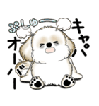 シーズー犬 2025 「やるかやらないか」（個別スタンプ：19）