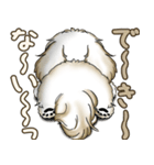 シーズー犬 2025 「やるかやらないか」（個別スタンプ：20）