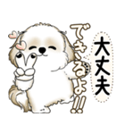 シーズー犬 2025 「やるかやらないか」（個別スタンプ：21）
