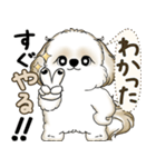 シーズー犬 2025 「やるかやらないか」（個別スタンプ：22）