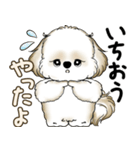 シーズー犬 2025 「やるかやらないか」（個別スタンプ：23）