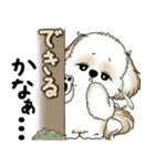 シーズー犬 2025 「やるかやらないか」（個別スタンプ：24）