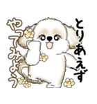 シーズー犬 2025 「やるかやらないか」（個別スタンプ：25）