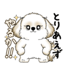 シーズー犬 2025 「やるかやらないか」（個別スタンプ：26）