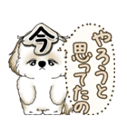 シーズー犬 2025 「やるかやらないか」（個別スタンプ：31）