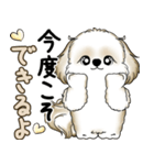 シーズー犬 2025 「やるかやらないか」（個別スタンプ：36）