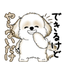 シーズー犬 2025 「やるかやらないか」（個別スタンプ：37）