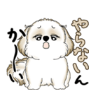 シーズー犬 2025 「やるかやらないか」（個別スタンプ：40）