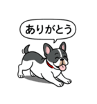 フレンチブルドッグ(ブラックパイド)（個別スタンプ：2）