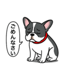 フレンチブルドッグ(ブラックパイド)（個別スタンプ：3）