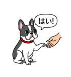 フレンチブルドッグ(ブラックパイド)（個別スタンプ：4）