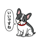 フレンチブルドッグ(ブラックパイド)（個別スタンプ：6）