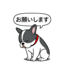 フレンチブルドッグ(ブラックパイド)（個別スタンプ：7）