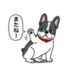 フレンチブルドッグ(ブラックパイド)（個別スタンプ：8）
