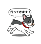 フレンチブルドッグ(ブラックパイド)（個別スタンプ：9）