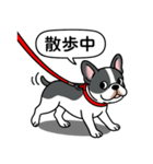 フレンチブルドッグ(ブラックパイド)（個別スタンプ：11）