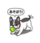フレンチブルドッグ(ブラックパイド)（個別スタンプ：12）