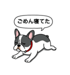 フレンチブルドッグ(ブラックパイド)（個別スタンプ：17）