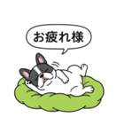 フレンチブルドッグ(ブラックパイド)（個別スタンプ：19）