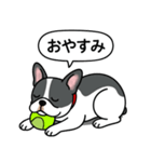フレンチブルドッグ(ブラックパイド)（個別スタンプ：20）