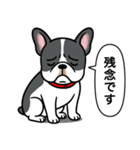 フレンチブルドッグ(ブラックパイド)（個別スタンプ：22）