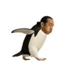 おじペンギン（個別スタンプ：2）