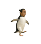 おじペンギン（個別スタンプ：3）