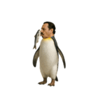 おじペンギン（個別スタンプ：6）