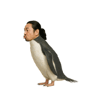 おじペンギン（個別スタンプ：18）